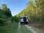 Land Rover Defender 110 by Osprey Custom Cars 1993 года